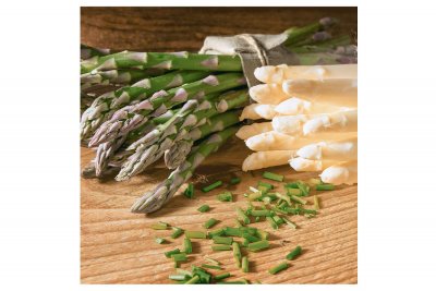 P+D, 20 Stk. Servietten "Spargel"