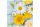 TI-Flair, 20 Stk. Servietten "Gartenblumen"