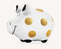 KCG, Sparschwein "GoldPunk", 12.5x9x9cm