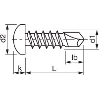 Linsen-Bohrschraube, verz., TX, 4.2x19mm