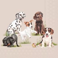 20 Stk. Servietten "Hunde Welpen Rassen", 33x33cm