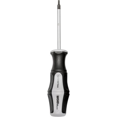 WGB, Schraubendreher, Torx, TX10
